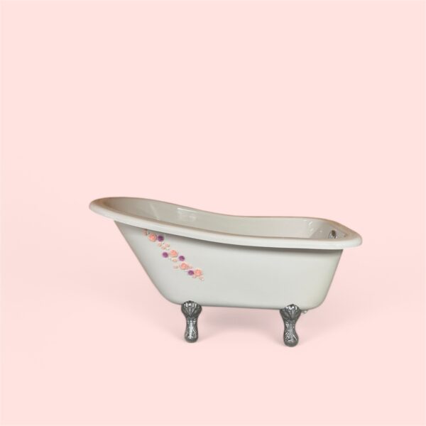 Location de Baignoire